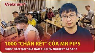 Kỷ lục “chiêu lừa thế kỷ” của Tiktoker Mr Pips với hơn 1000 “chân rết” gây chấn động giới đầu tư