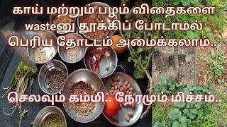 வீட்டில் இருப்பதை வைத்தே பெரிய தோட்டம் அமைக்கலாம் / Gardening for beginners in tamil / Garden tour