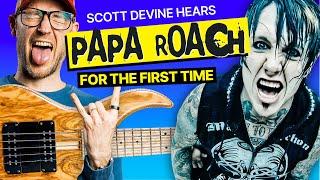 Bass Teacher hears PAPA ROACH for the FIRST Time