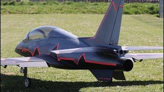 CARF Viperjet mit Frank FT-180