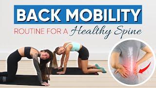 Back Mobility Routine for a Healthy Spine 20 Minutes Follow Along