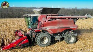 SPECIAL EDITION Retro Case IH Combine Harvesting Corn