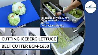 Lettuce Cutting Machine | Vegetable Belt Cutting Machine BCM-1650 | Cut Fruit & Vegetables
