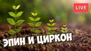 Стимуляторы роста растений  ЭПИН и ЦИРКОН  Обзор препаратов Где их купить