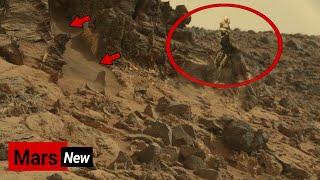 NASA Mars Perseverance Rover Sent Latest Unbelievable Weird Panorama Images of Mars - Mars Live