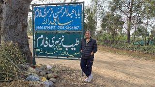 Resturant Keh liya Kuch Plants Ki Shopping Kerna Hum Poncha Pattoki