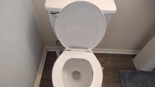 HOW TO FIX YOUR TOILET OR MAKE IT FLUSH AGAIN