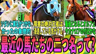 【競馬の反応集】「今どきの馬って二つ名持ち居ないよな」に対する視聴者の反応集