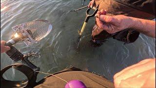 Beach Metal Detecting Old Rings and Antique Things