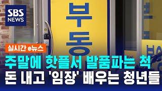 주말에 핫플서 발품파는 척…돈 내고 '임장' 배우는 청년들 / SBS / 실시간 e뉴스