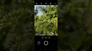 mobile photography short video #shorts #youtubeshorts #mobilephotography