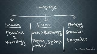 SEMANTICS-2: Justifying and Locating Semantics within Linguistics