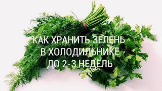 КАК ХРАНИТЬ СВЕЖУЮ ЗЕЛЕНЬ В ХОЛОДИЛЬНИКЕ ДО 2-3 НЕДЕЛЬ | ПОЛЕЗНЫЕ СОВЕТЫ