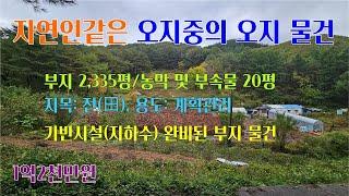 [평창부동산] 오지중의 오지, 자연인같이 혼자 생활하실분... 면적 2,335평/농막 및 부속물 20여평.. 전, 계획관리 평창물건, 평창오지토지,평창자연인토지 [평창공인중개사]