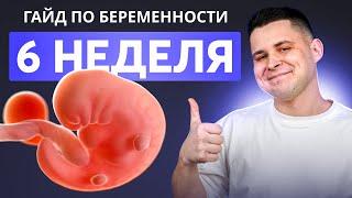 6 НЕДЕЛЯ БЕРЕМЕННОСТИ | Беременность по неделям с доктором Ченчак