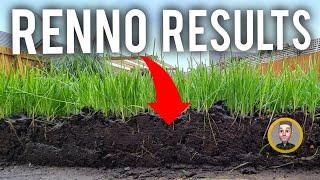 How to Rennovate your Back Lawn Autumn/Spring Results