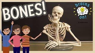 Bones From The Inside Out! | Brains On! Science Podcast For Kids