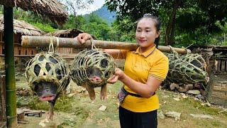 Weave bamboo baskets - Take the piglets goes to market sell - Harvest preserved onions - Ly Thi Tam