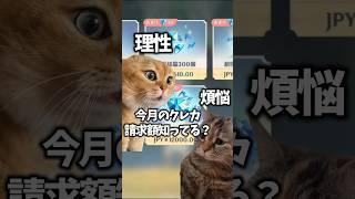 原神微課金勢の日常  #原神  #猫ミーム  #猫マニ