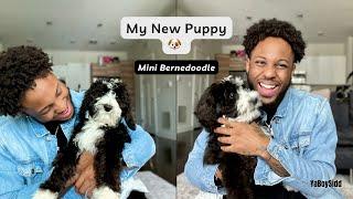 I GOT A NEW PUPPY! | Welcome Lucy to the Family | Mini Berne Doodle Puppy | YABOYSIDD