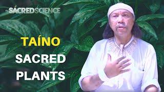 Taíno Spiritual Wisdom, Shamanic Practices and Sacred Plant Medicine | Miguel Sobaoko Koromo Sague