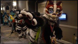 Fursuit Parade HIGH FIVES!! 700+ Furries! | Denfur 2023 | MAIN DOOR ANGLE no1