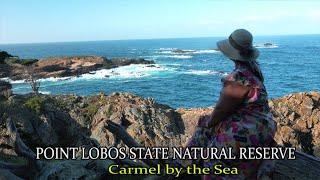 POINT LOBOS STATE NATURAL RESERVE (Carmel by the Sea))