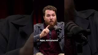 На вкус ты их не определишь, а как тогда понять