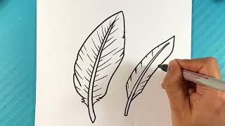 EASY How to Draw a FEATHER