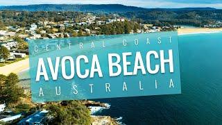 AVOCA BEACH, Central Coast NSW - 4K | Australian Travel Guide