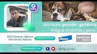 Valoración Geronto - Geriátrica integral en perros y gatos - MVZ Gerardo Alberto Hernandez A.