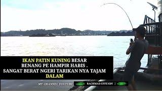 MANCING IKAN PATIN KUNING BESAR LIAR SUNGAI MAHAKAM BERAKHIR SANGAT MENYEDIHKAN