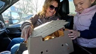 Baby Chicks, Planting By the Pond & Fertilizing the Big Trees!  // Garden Answer