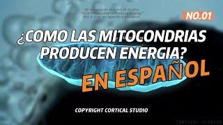 COMO LAS MITOCONDRIAS PRODUCEN ENERGIA DUB ESPAÑOL (CORTICAL STUDIOS)