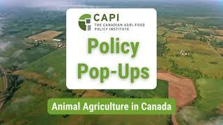 Animal Agriculture in Canada