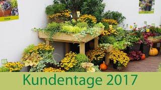 Kientzler Kundentage 2017 - Herbstzauber, Chrysanthemum & Sommertopf