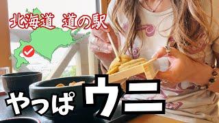 【愛犬と 2023年 北海道 道の駅スタンプラリー 12】道の駅で絶品ウニ丼を食べてきた！(洞爺湖方面 ①)