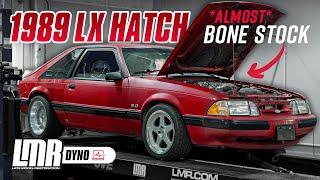 1989 Fox Body Mustang LX 5.0L Hatch Dyno!