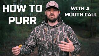 HOW TO PURR ON A MOUTH CALL | World champion Turkey caller explains purring on a diaphragm!