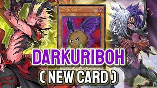 New Kuriboh Hand Trap Card !! YGOPRO - Darkuriboh | Yubel Fiendsmith Mar.2025 | New Card