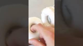 JBL Tune ear pads repair