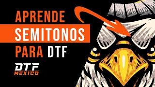  Cómo hacer SEMITONOS para IMPRESIÓN DTF en PHOTOSHOP  | dtfmexico.mx