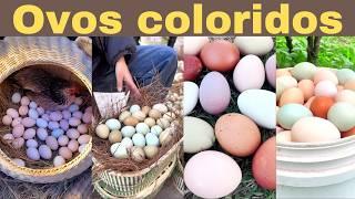 How to produce colored eggs. Increase your profit!