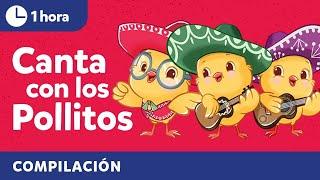 Sing with Los Pollitos | Bilingual Kids Songs in Spanish & English | Cultural Traditions