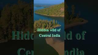 Into Central India's Untouched Wilderness: A Journey Through Hidden Nature