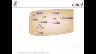 CPIC guideline for hydrocodone and CYP2D6