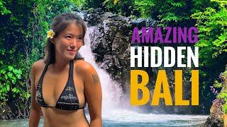 Amazing Hidden Bali  Getaway: Dolphins, Waterfalls, Affordable Gourmet Dining, Nature Therapy