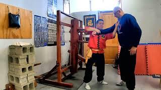 BASIC wooden dummy training - Lineage & Stylistic Differences