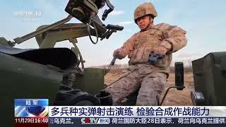 [新闻直播间]陆军 多兵种实弹射击演练 检验合成作战能力 | 新闻来了 News Daily