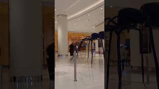 Walking around largest mall in the world 3